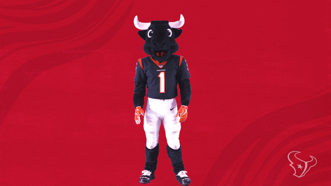 Dance Dancing GIF by Houston Texans