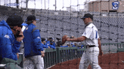Creighton Baseball GIF by Creighton University Athletics