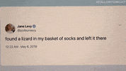 Jimmy Fallon Lol GIF by The Tonight Show Starring Jimmy Fallon