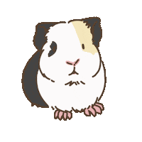Licht Guineapig Sticker