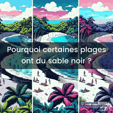 Plages GIF by ExpliquePourquoi.com