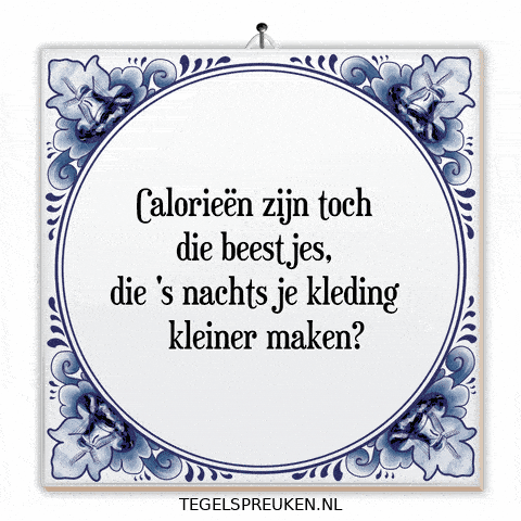 Humor Spiegel GIF by Tegelspreuken.nl