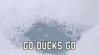 Go Ducks Go