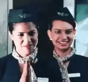 flight attendants GIF