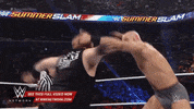 wwe sports wwe wrestling 2015 GIF