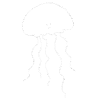 Line Jellyfish Sticker