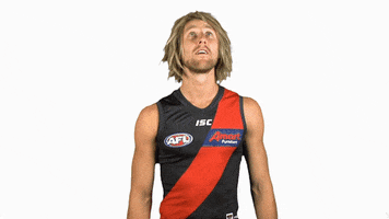 essendonfc dons bombers essendon essendon fc GIF