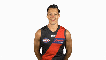 essendonfc dons bombers essendon essendon fc GIF
