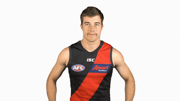 essendonfc dons bombers essendon essendon fc GIF