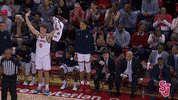 St Johns Sjubb GIF by St. John's Red Storm