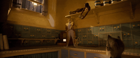 Cat Meow GIF by Cats Movie
