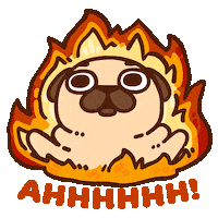 Fire Burn Sticker by Puglie Pug
