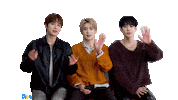 Idol Hello Sticker by koreadispatch