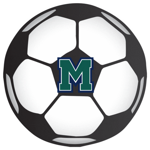 Hurstathletics Sticker by MercyhurstU