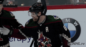 Ice Hockey Sport GIF by NHL