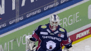 Hockey Lol GIF by Eisbären Berlin