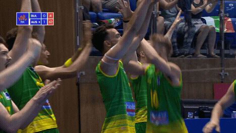 Point Celebrate GIF by Volleyball World