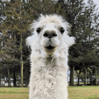 Confused Wait What GIF by Turventur