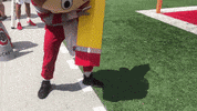 Ncaa Sports GIF by Ohio State Athletics