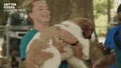 National Geographic Reaction GIF by Nat Geo Wild