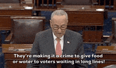 Chuck Schumer Politics GIF by GIPHY News