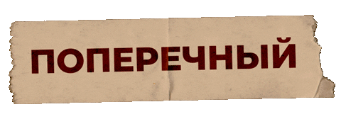 Poperechny Sticker by Tag.Show