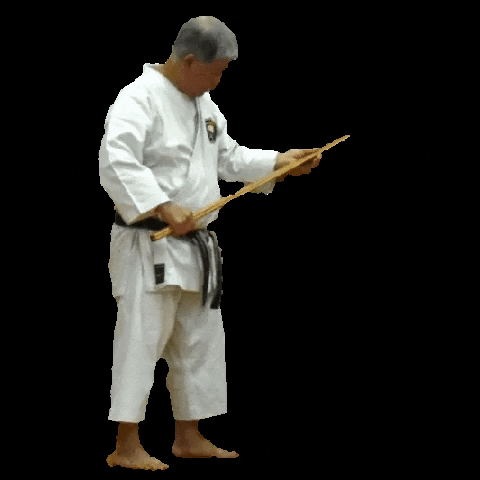 matsubayashi giphygifmaker zen karate dojo GIF