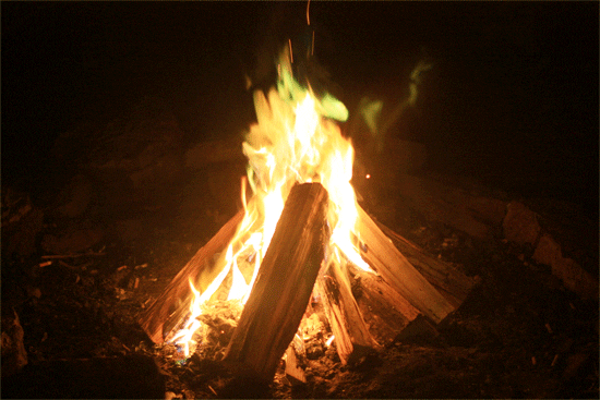 share gather GIF