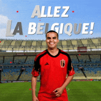 ALLEZ LA BELGIQUE!