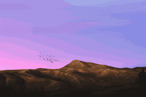 hseyinkaya6a29 giphyupload GIF