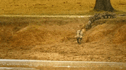 Family Gang GIF by Discovery