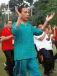 Jokowi GIF