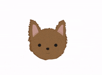 LungoyCo lungoyco familialungoyco GIF