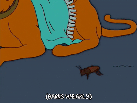 episode 16 abe simpson GIF