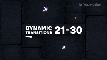 Dynamic Transitions 21 30