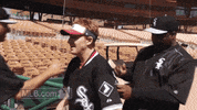 cws GIF by MLB