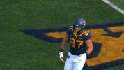 College Football GIF by WVU Sports