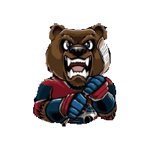 Bear Локомотив Sticker by Хоккейный клуб "ЛОКОМОТИВ"