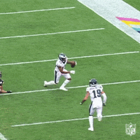 Celebrate Lets Go GIF by NFL