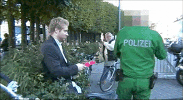 experience GIF