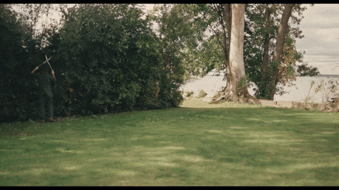 Dakota Johnson Comedy GIF by NEON