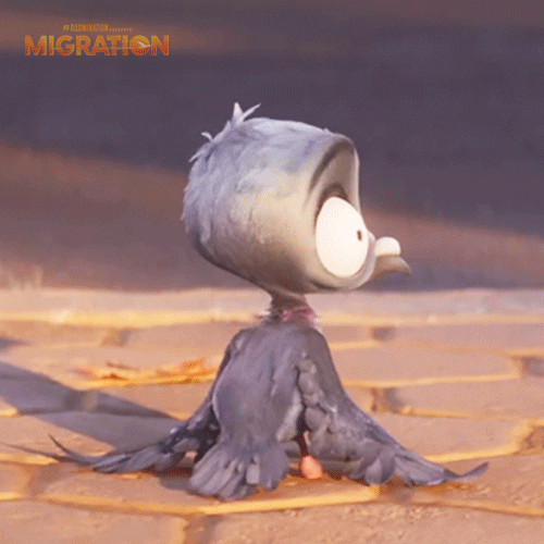 MigrationMovie giphyupload laugh duck marriage GIF