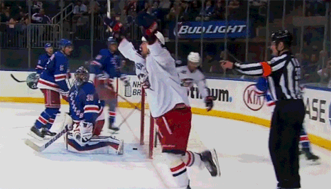 nyr GIF