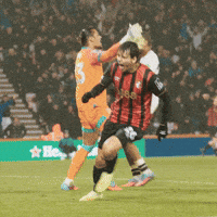 Happy Premier League GIF by AFC Bournemouth