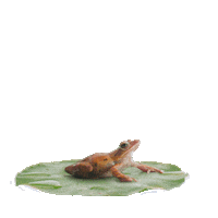 Sticker Swimming Sticker by TELUS