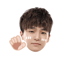 Fw Flashwolves Sticker