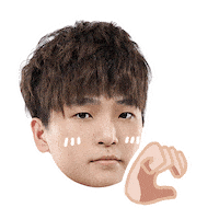 Fw Flashwolves Sticker