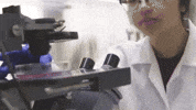 TAMUScience science education lab research GIF
