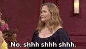 SNL gif. Amy Schumer says, "No, shh, shh shh," and steps forward to put both her hands on a woman's face, touching her cheeks and lips to shush her.