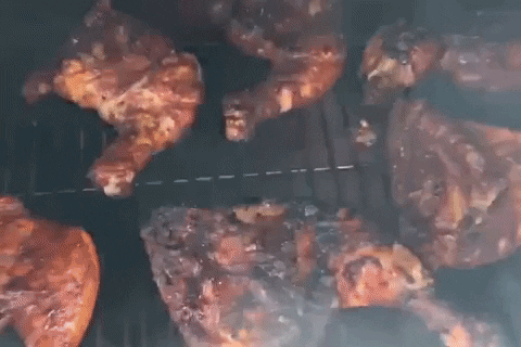 Grillinggods giphystrobetesting smoke chicken grill GIF